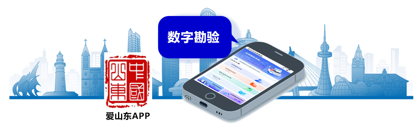 爱山东集成示意图